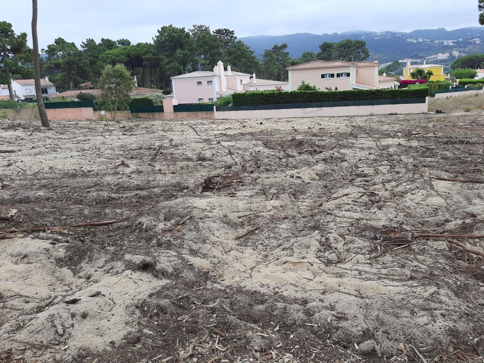 Terreno para Venda em Colares Foto 20