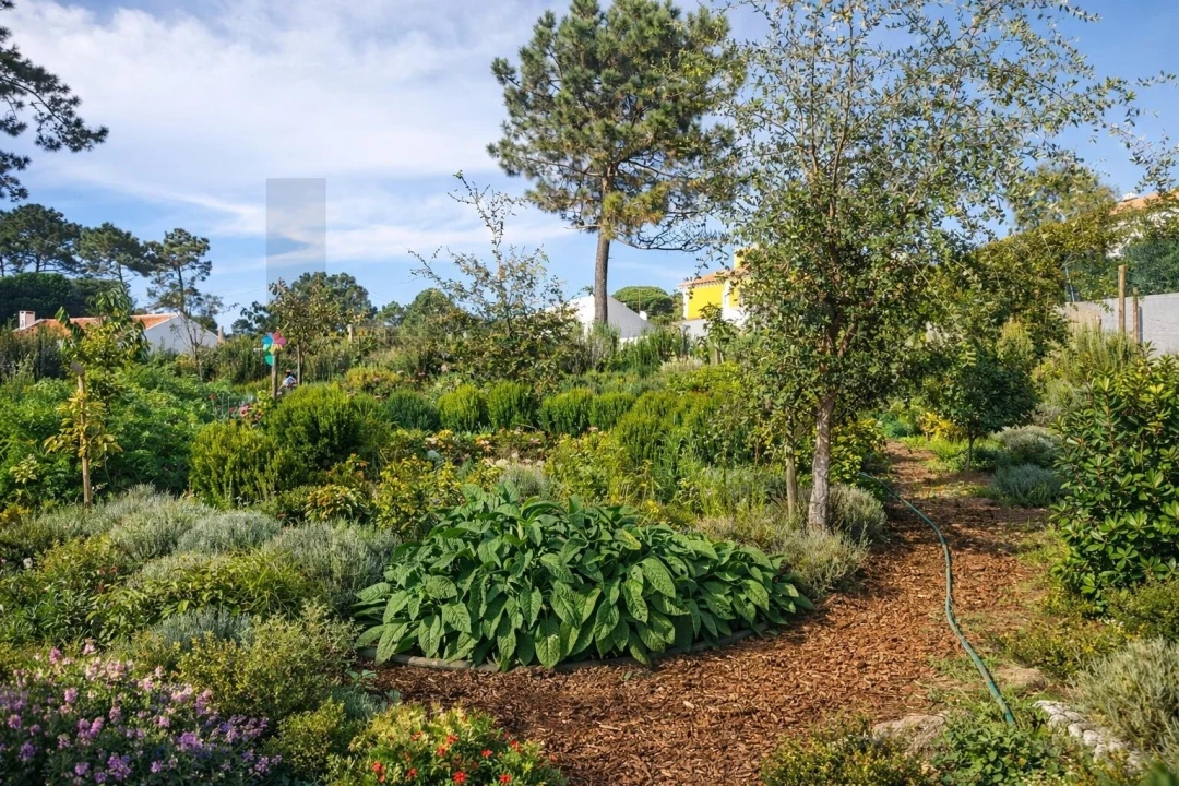 Terreno para Venda em Colares Foto 15