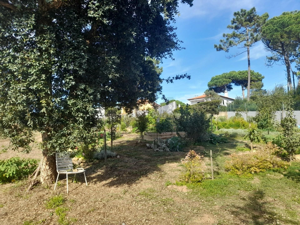 Terreno para Venda em Colares Foto 16