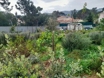 Terreno para Venda em Colares