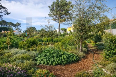 Terreno para Venda em Colares