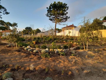 Terreno para Venda em Colares