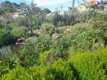 Terreno para Venda em Colares