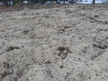 Terreno para Venda em Colares