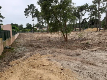 Terreno para Venda em Colares