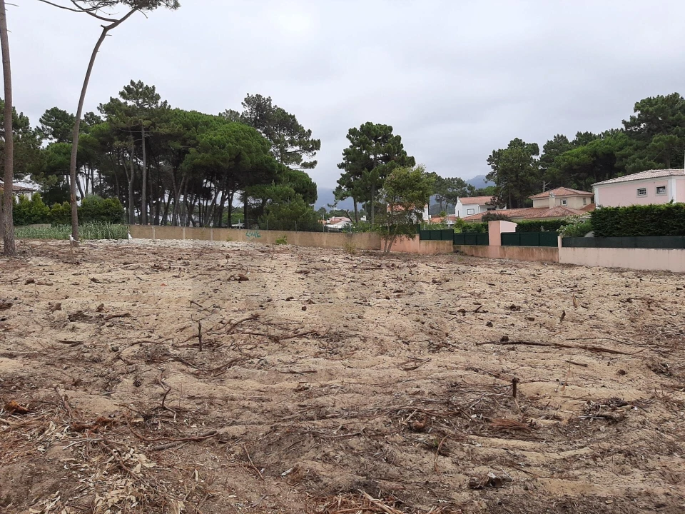 Terreno para Venda em Colares Foto 7