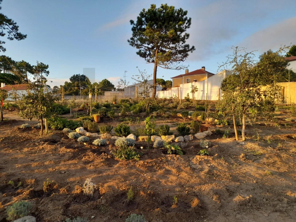 Terreno para Venda em Colares Foto 19