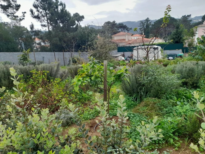 Terreno para Venda em Colares Foto 17