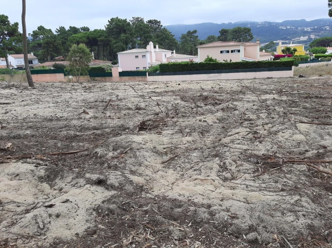 Terreno para Venda em Colares Foto 20