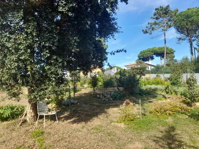 Terreno para Venda em Colares Foto 16