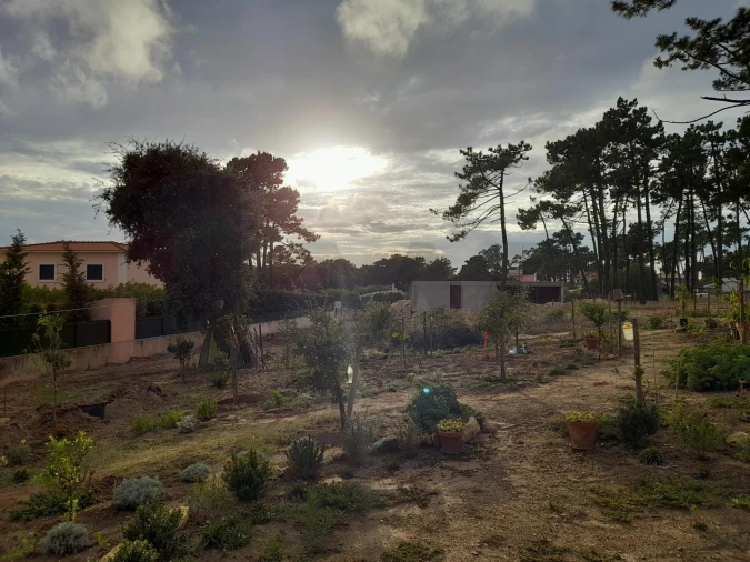 Terreno para Venda em Colares Foto 11