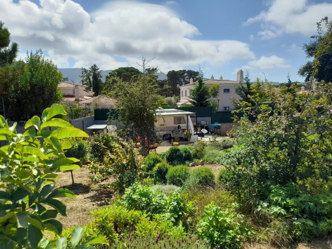 Terreno para Venda em Colares Foto 12