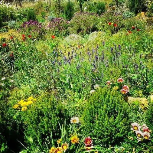 Terreno para Venda em Colares Foto 18
