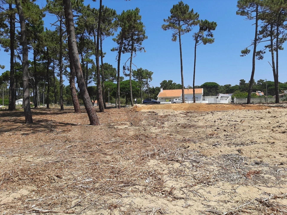 Terreno para Venda em Colares Foto 30