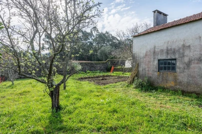 Quinta T4 para Venda em Ancora