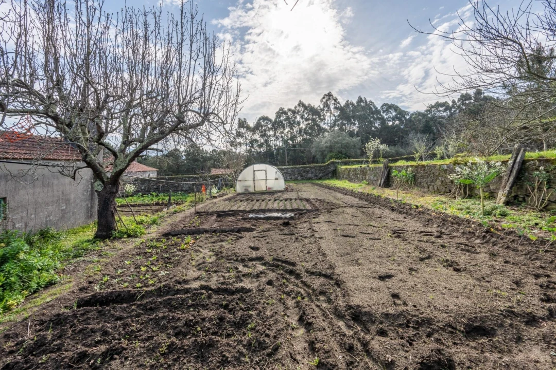 Quinta T4 para Venda em Ancora Foto 26