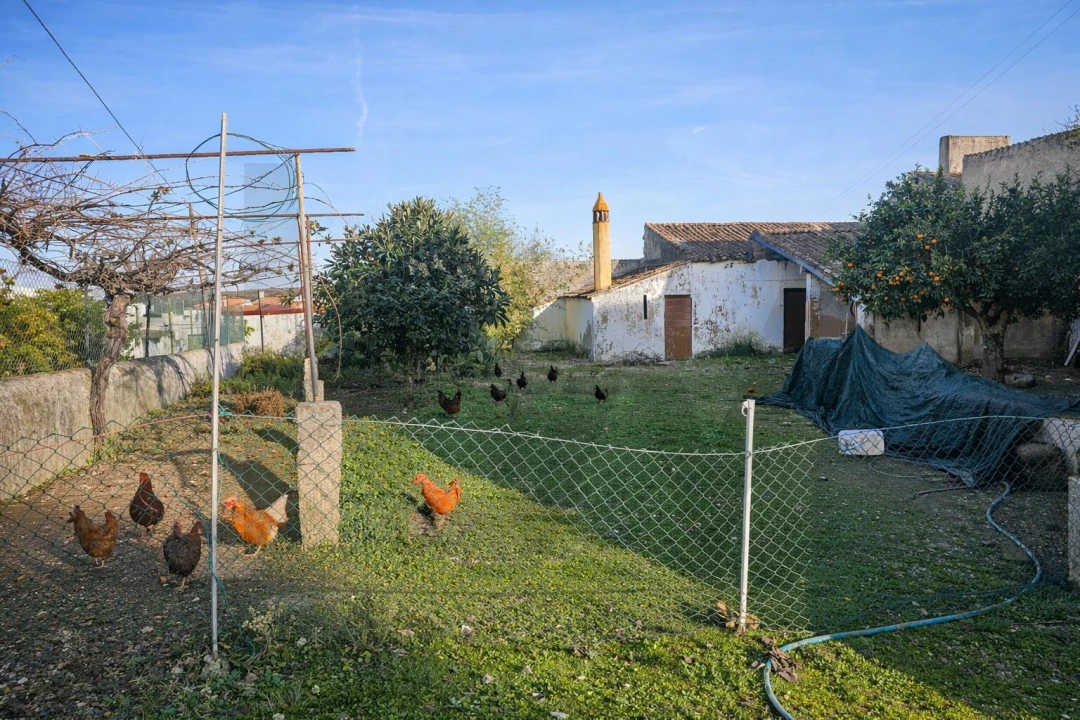 Moradia T4 para Venda em Arez e Amieira do Tejo Foto 7