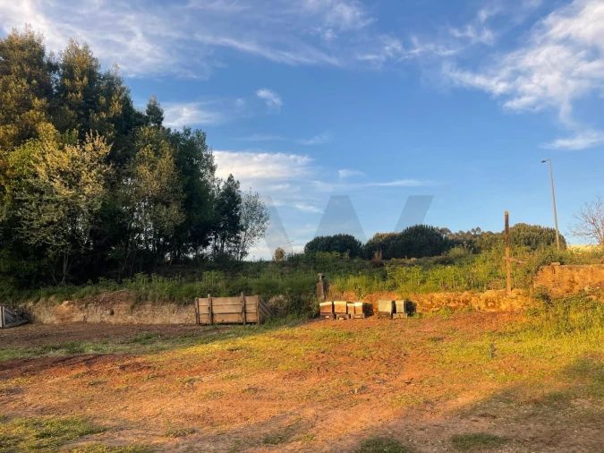 Terreno para Venda em São João da Madeira Foto 10