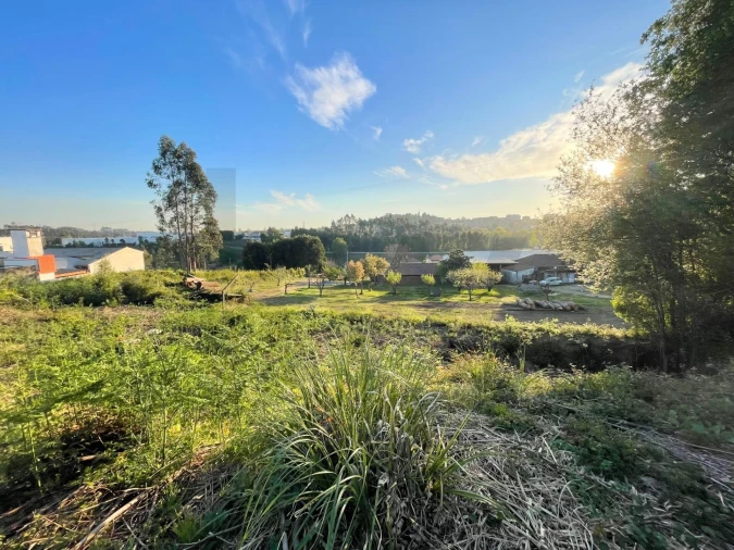Terreno para Venda em São João da Madeira Foto 5