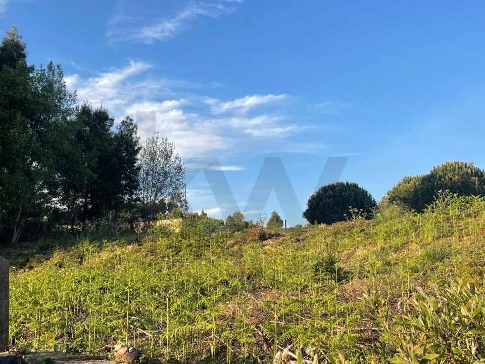 Terreno para Venda em São João da Madeira Foto 9