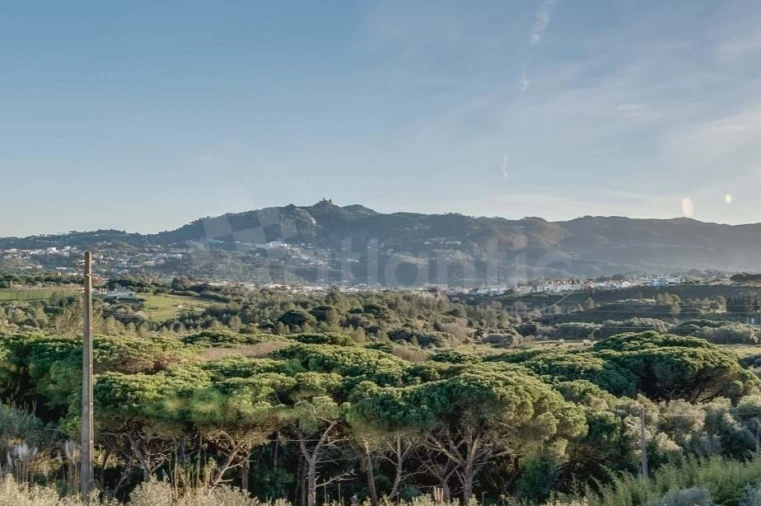 Apartamento T3 para Arrendamento em Agualva e Mira-Sintra Foto 6