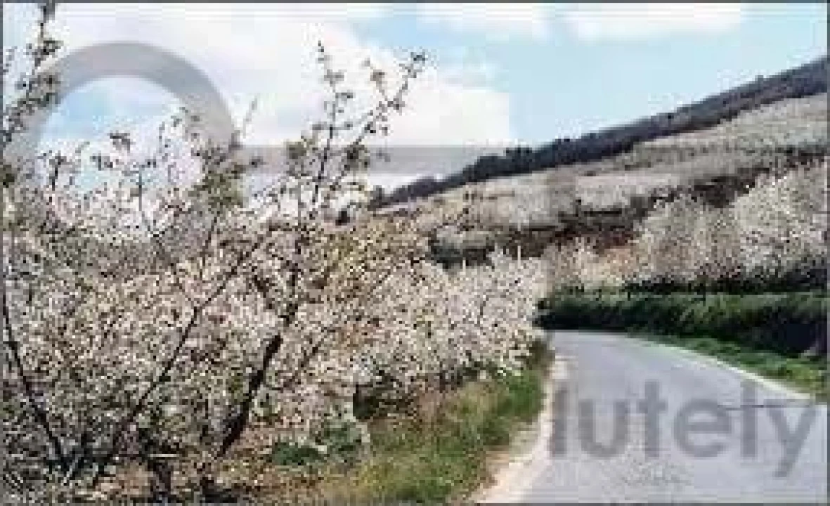 Negócio para Venda em Fundão, Valverde, Donas, A. Joanes, A. Nova Cabo Foto 13