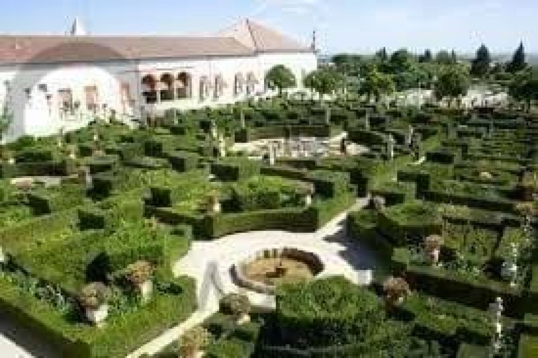 Negócio para Venda em Castelo Branco Foto 16