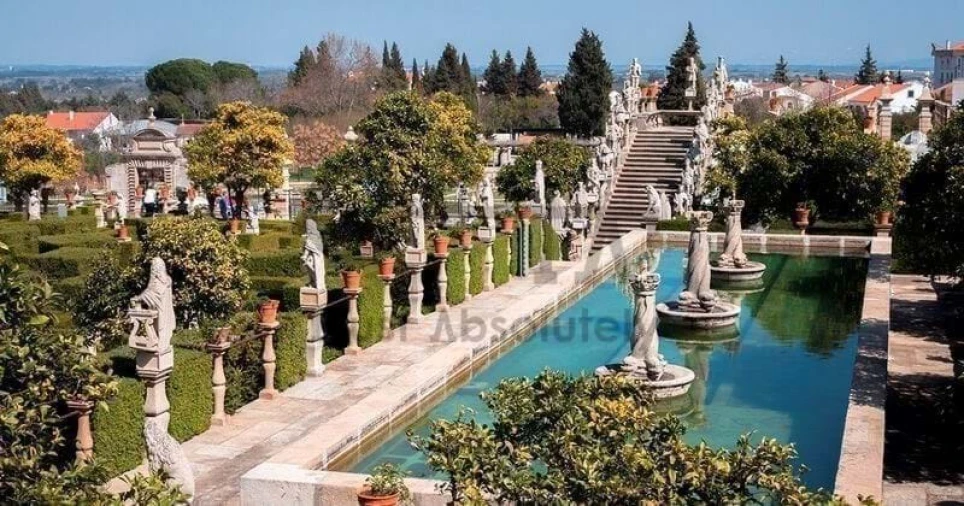 Negócio para Venda em Castelo Branco Foto 14