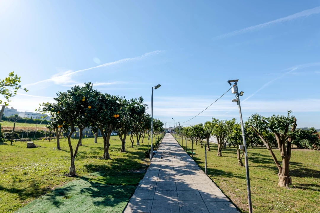 Moradia T6 para Venda em Folgosa Foto 23