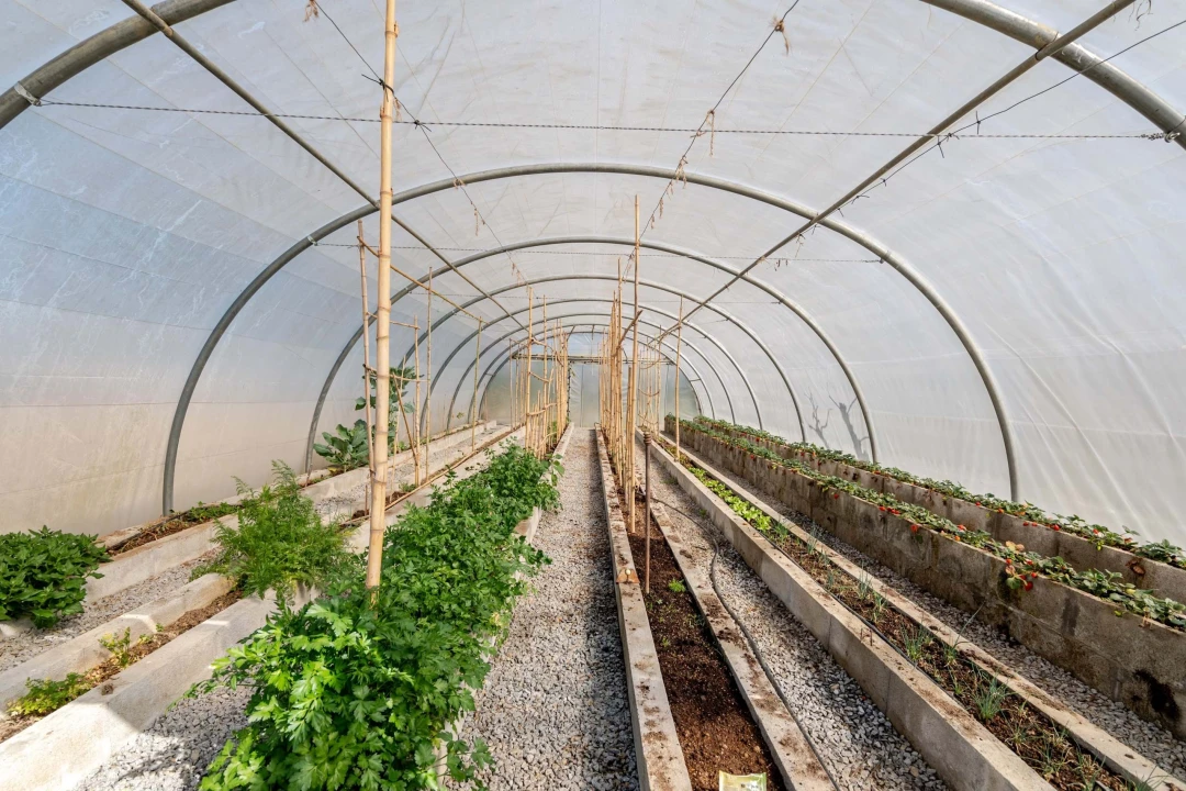 Moradia T6 para Venda em Folgosa Foto 101