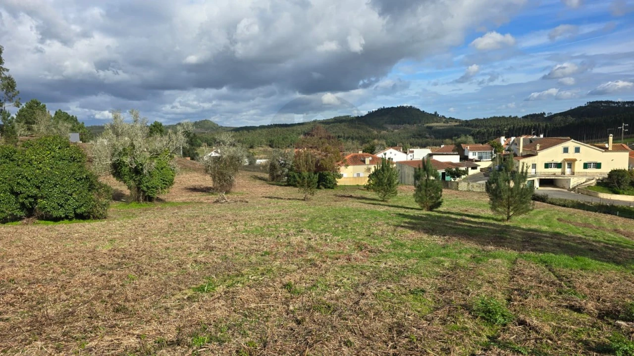 Terreno para Venda em Lamas e Cercal Foto 1