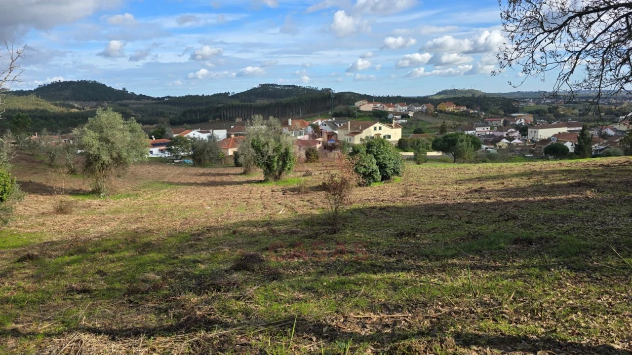 Terreno para Venda em Lamas e Cercal Foto 3