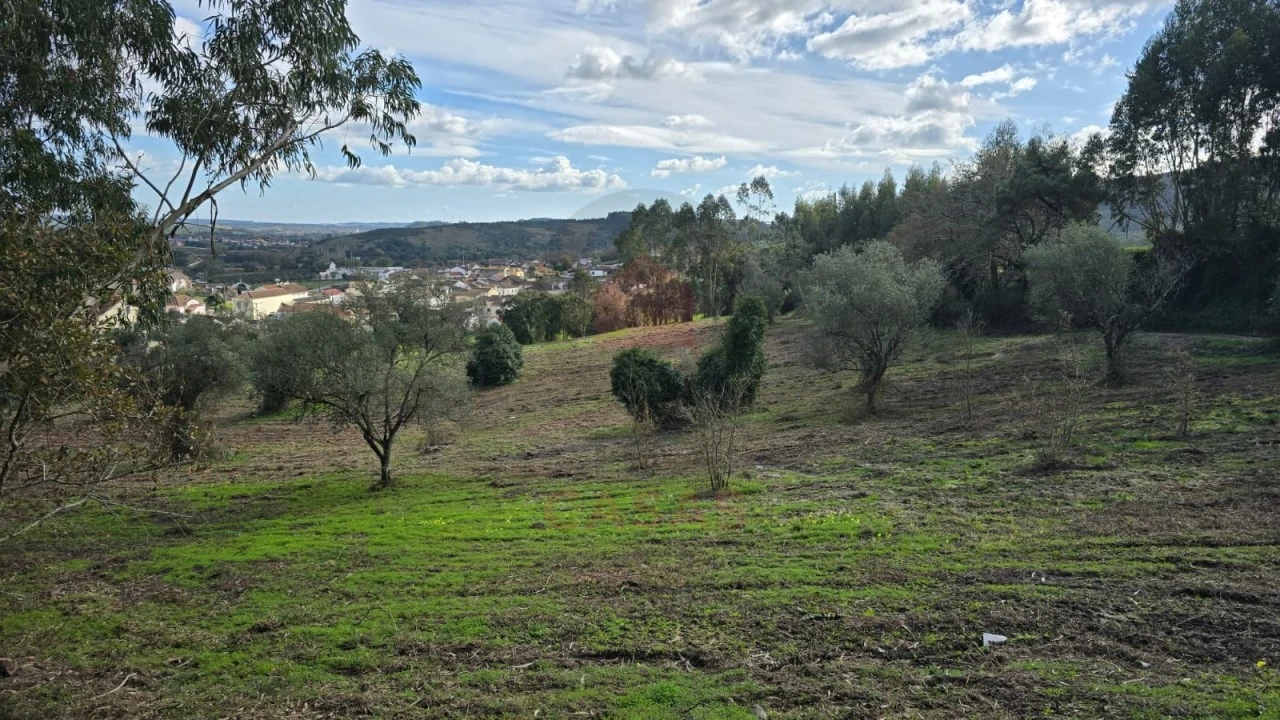 Terreno para Venda em Lamas e Cercal Foto 4