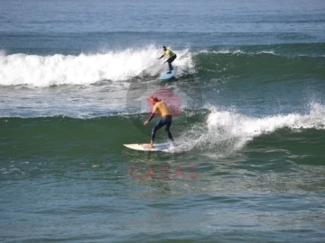 Terreno para Venda em Lamas e Cercal