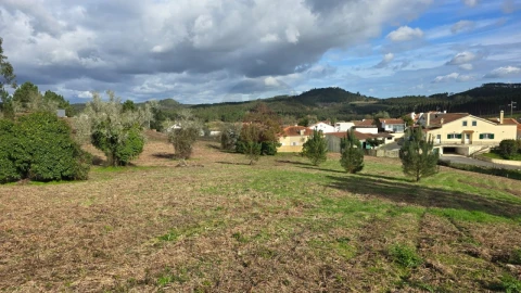 Terreno para Venda em Lamas e Cercal