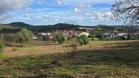 Terreno para Venda em Lamas e Cercal