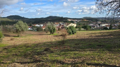 Terreno para Venda em Lamas e Cercal