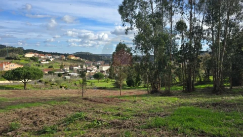 Terreno para Venda em Lamas e Cercal