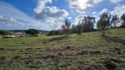 Terreno para Venda em Lamas e Cercal