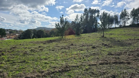 Terreno para Venda em Lamas e Cercal