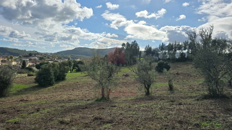 Terreno para Venda em Lamas e Cercal Foto 5