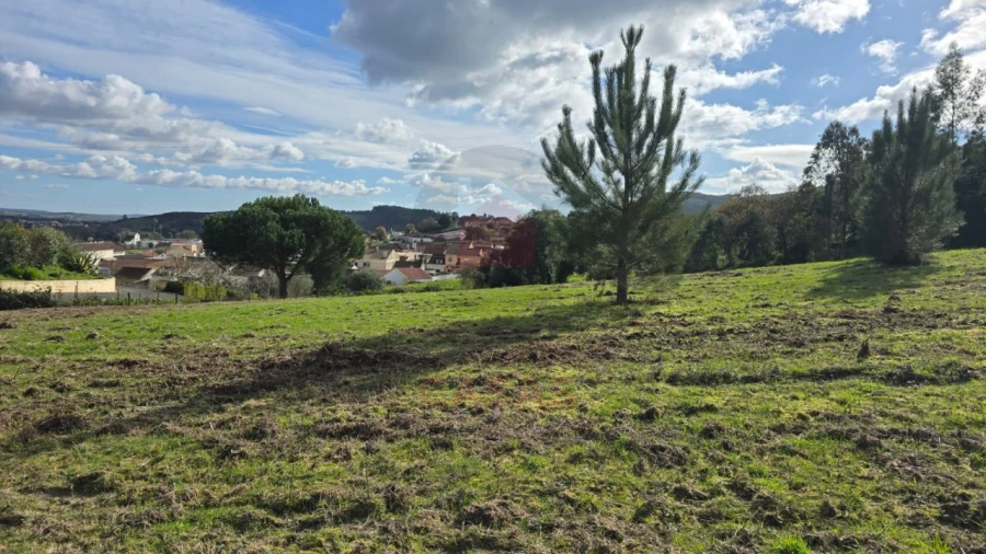 Terreno para Venda em Lamas e Cercal Foto 8