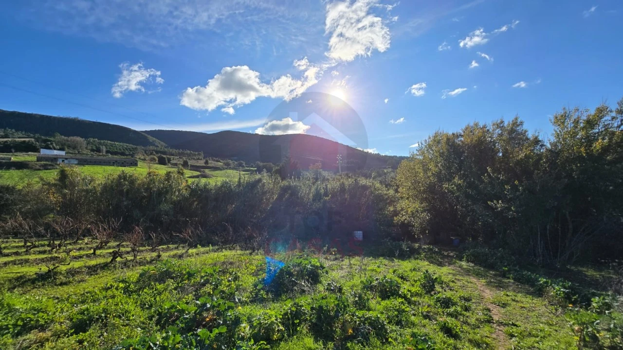 Terreno para Venda em Lamas e Cercal Foto 4
