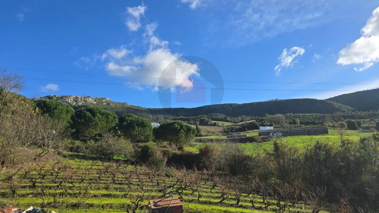 Terreno para Venda em Lamas e Cercal Foto 6