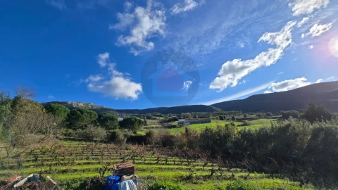 Terreno para Venda em Lamas e Cercal