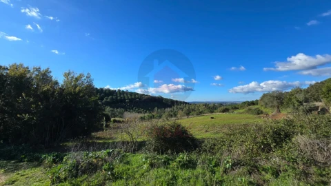 Terreno para Venda em Lamas e Cercal