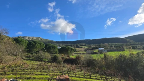 Terreno para Venda em Lamas e Cercal