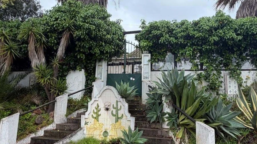 Armazém para Venda em Lagos (São Sebastião e Santa Maria)