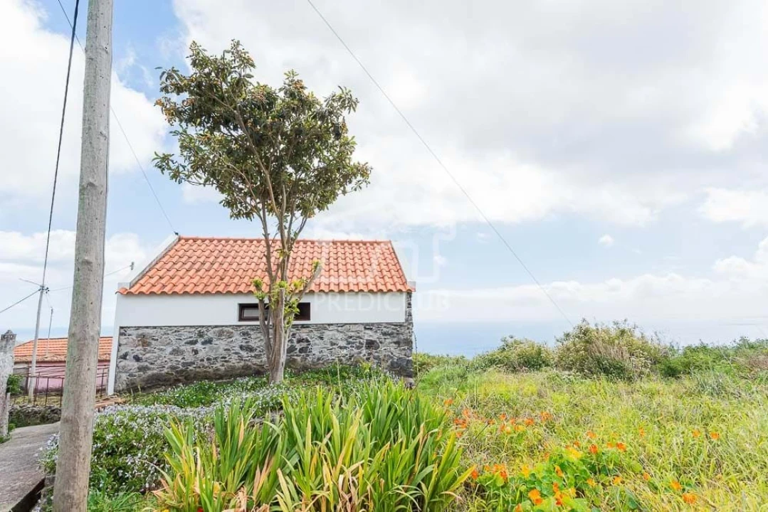 Terreno para Venda em Estreito da Calheta Foto 32