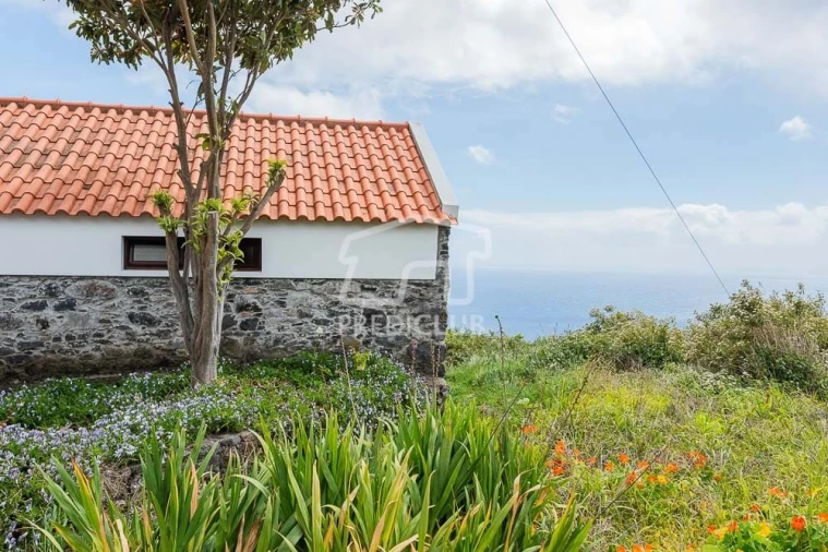 Terreno para Venda em Estreito da Calheta Foto 31